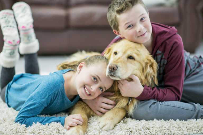 Air Filtration: Media Air Cleaners In Tulare, CA